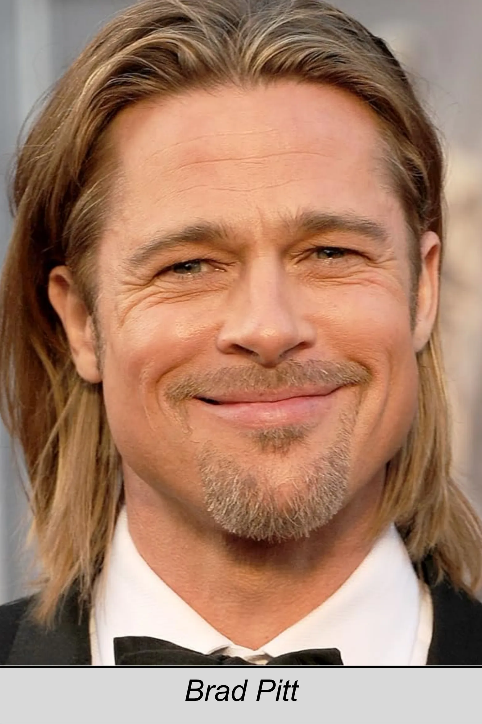12 Monkeys, Brad Pitt