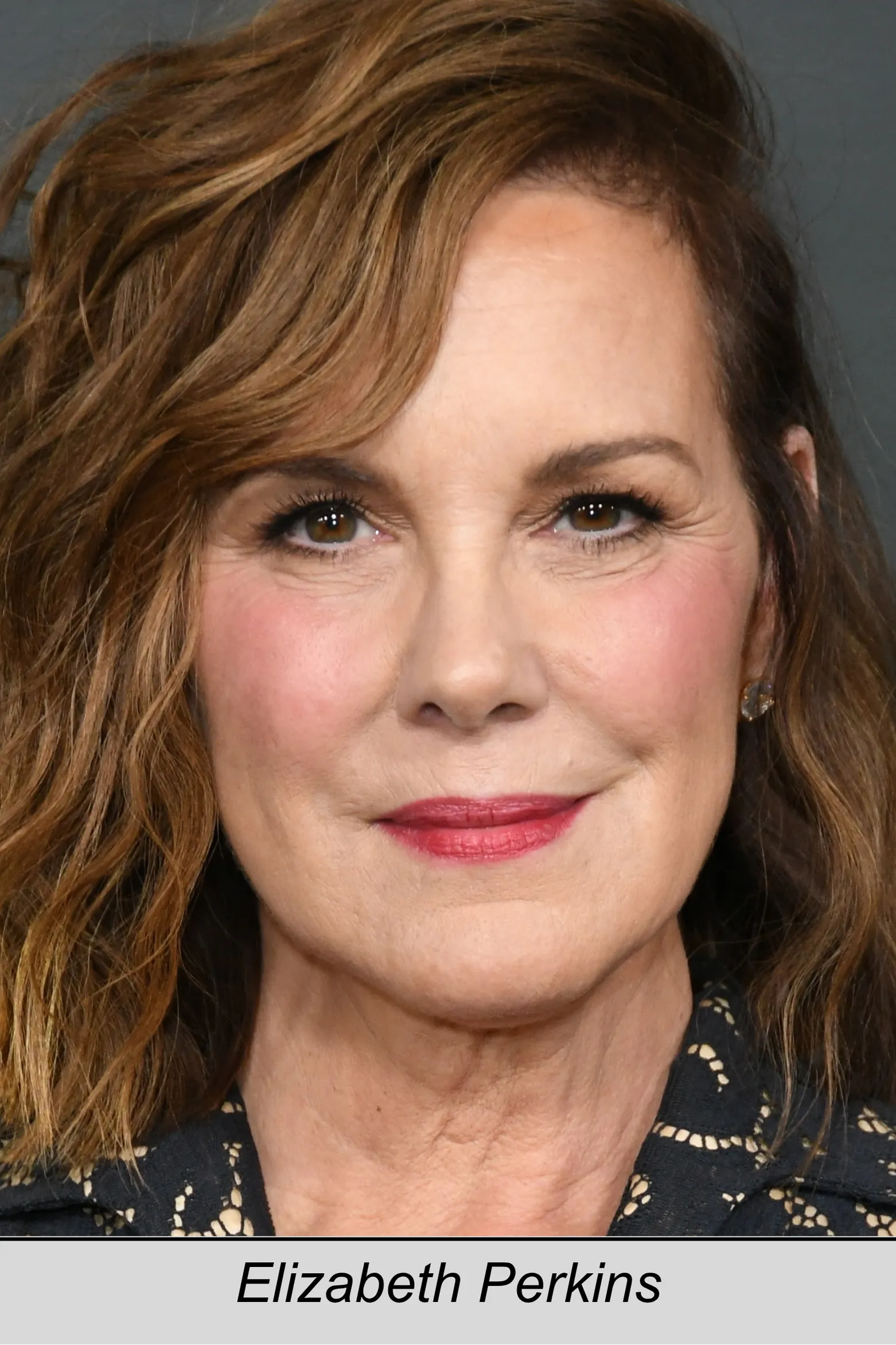 Elizabeth Perkins, 28 Days