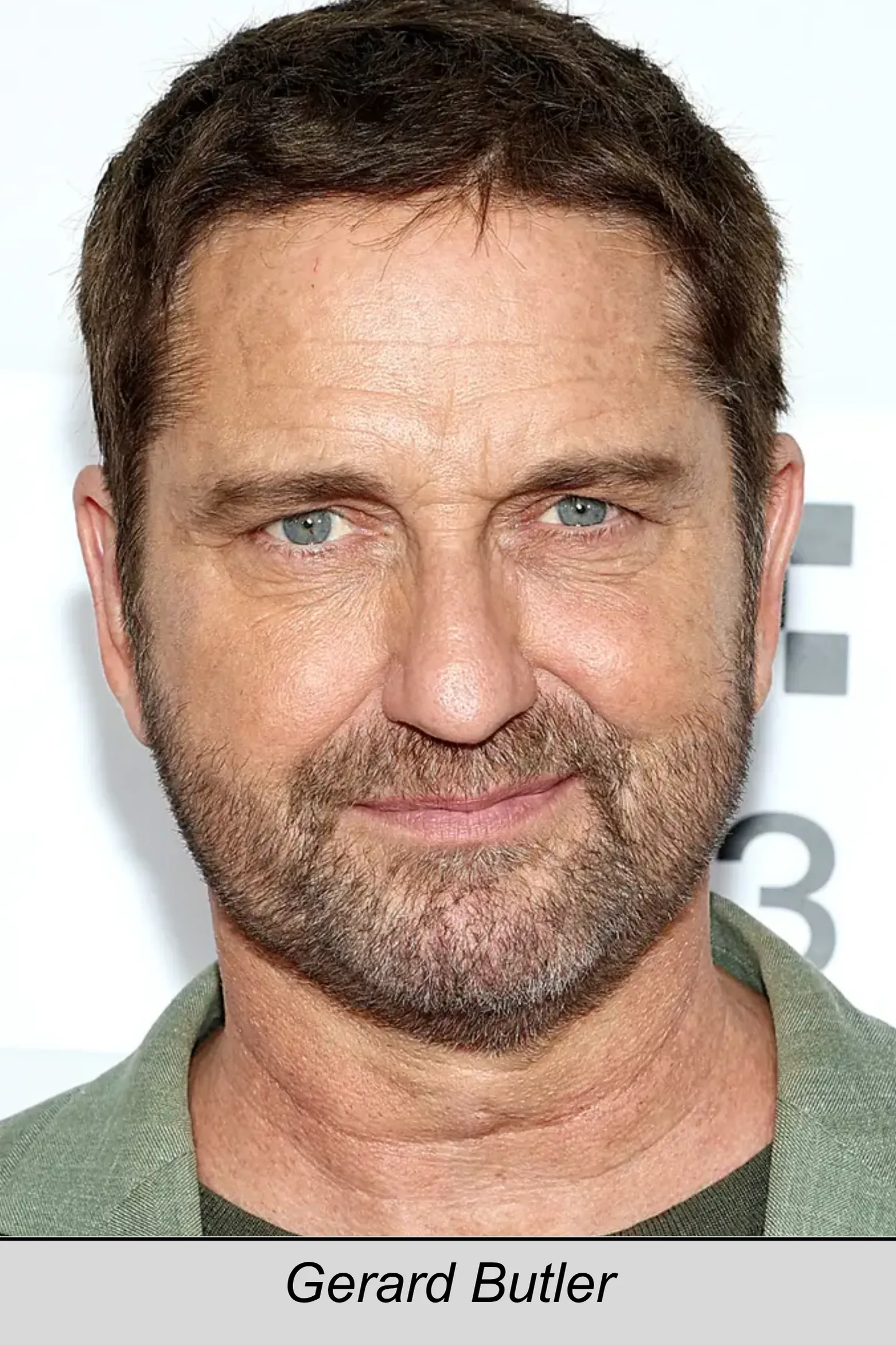Gerard Butler, 300