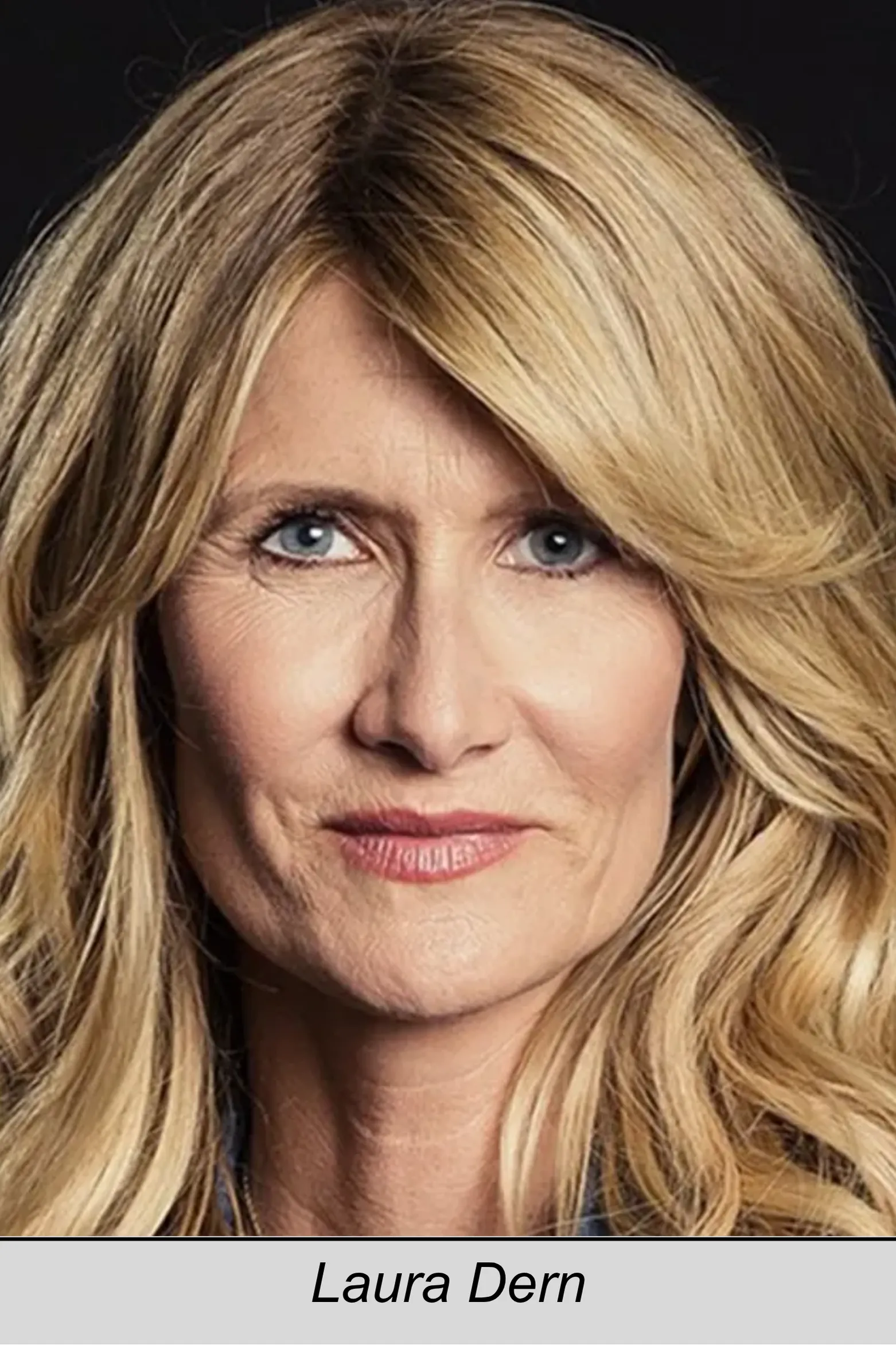 Laura Dern, 99 Homes