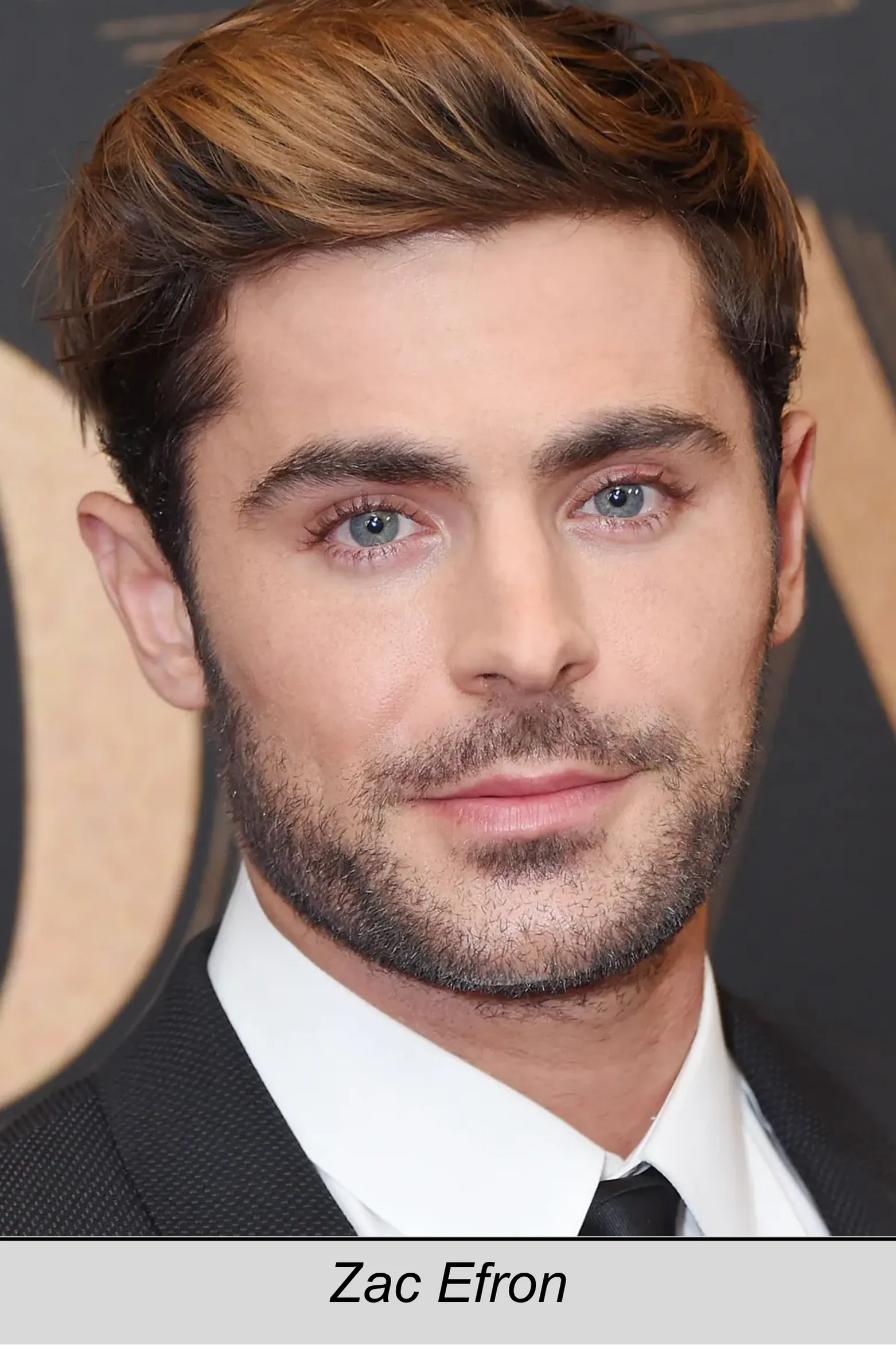 Zac Efron, 17 Again